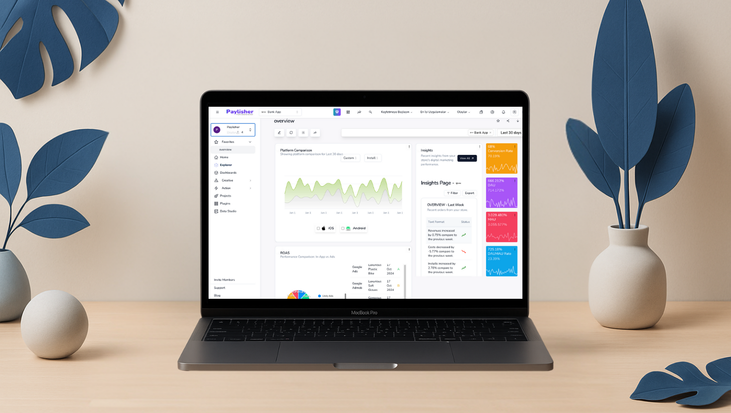 Paylisher background